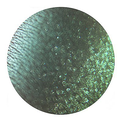 Рассыпчатые тени Сверкающая Заступница Sigil Inspired Tammy Tanuka