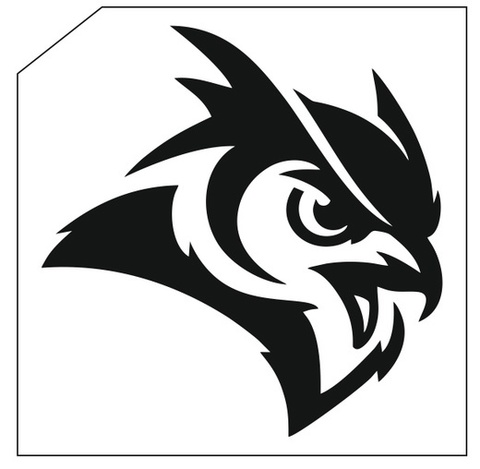 Трафарет для блеск-тату 6*6 птица 125П