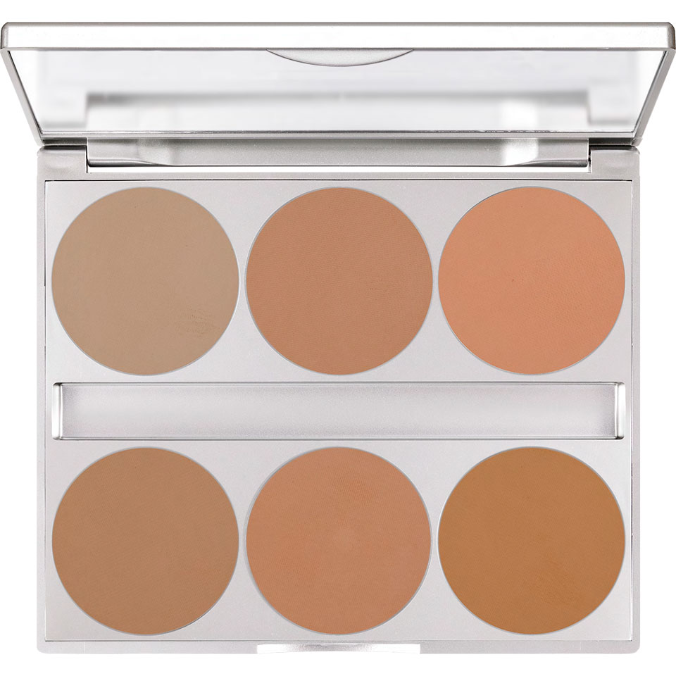 Тон-пудра 6 цв. Dual Finish Palette Kryolan Cold Complexion